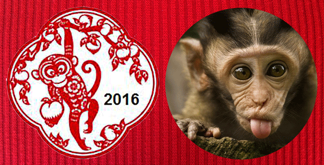 Luna New Year - red fire monkey – 2016