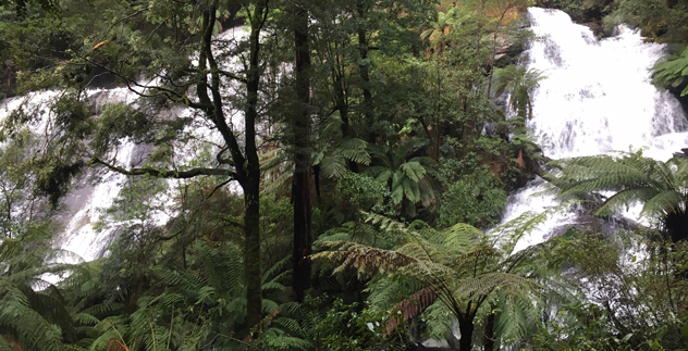 The Otways - waterfalls and lush landscape in July.